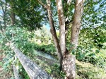 Images for Horsebrook, Calne