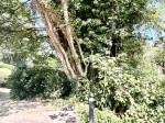 Images for Horsebrook, Calne