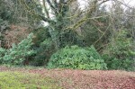 Images for Woodland Park, Calne