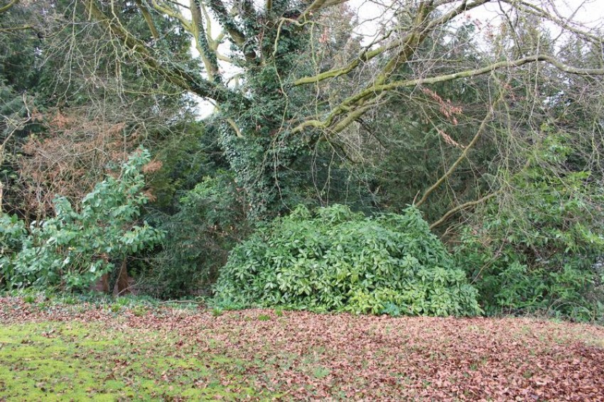 Images for Woodland Park, Calne